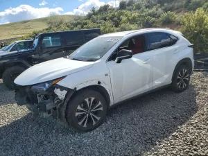 Lexus NX 2.0L 4 2020