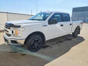 Ford F-150 5.0L 8 2019