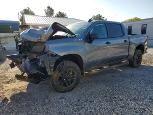 Chevrolet Silverado 1500 5.3L 8 2019