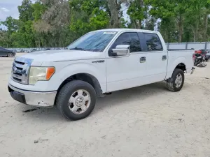 Ford F-150 4.6L 8 2010