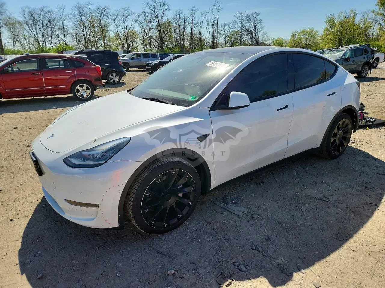 Tesla Model Y 2021