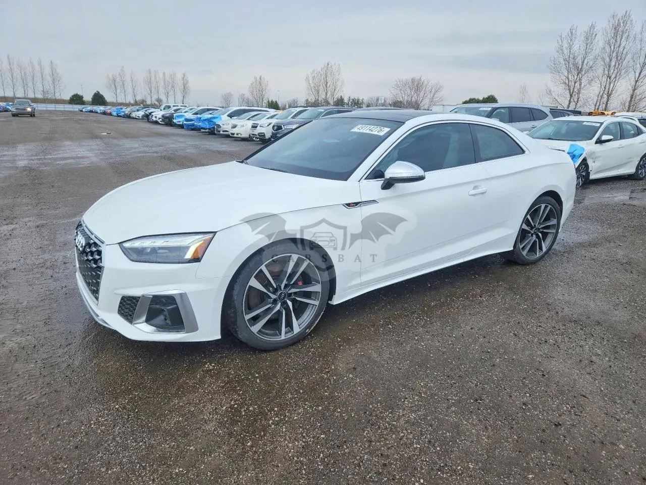 Audi S5 3.0L 6 2023
