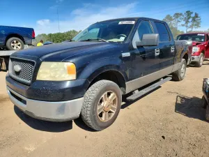 Ford F-150 4.6L 8 2006