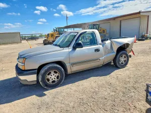 Chevrolet Silverado 1500 4.8L 8 2003