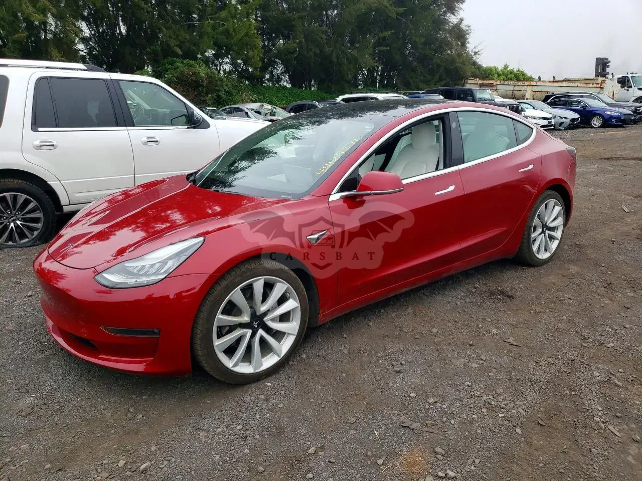 Tesla Model 3 2019