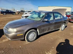 Chevrolet Malibu 3.1L 6 2002