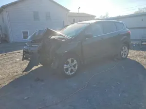 Ford Escape 1.6L 4 2014