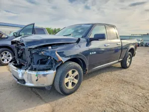 Dodge RAM 4.7L 8 2010