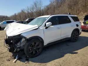 Hyundai Palisade 3.8L 6 2023