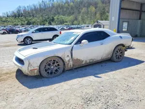 Dodge Challenger 6.4L 8 2015