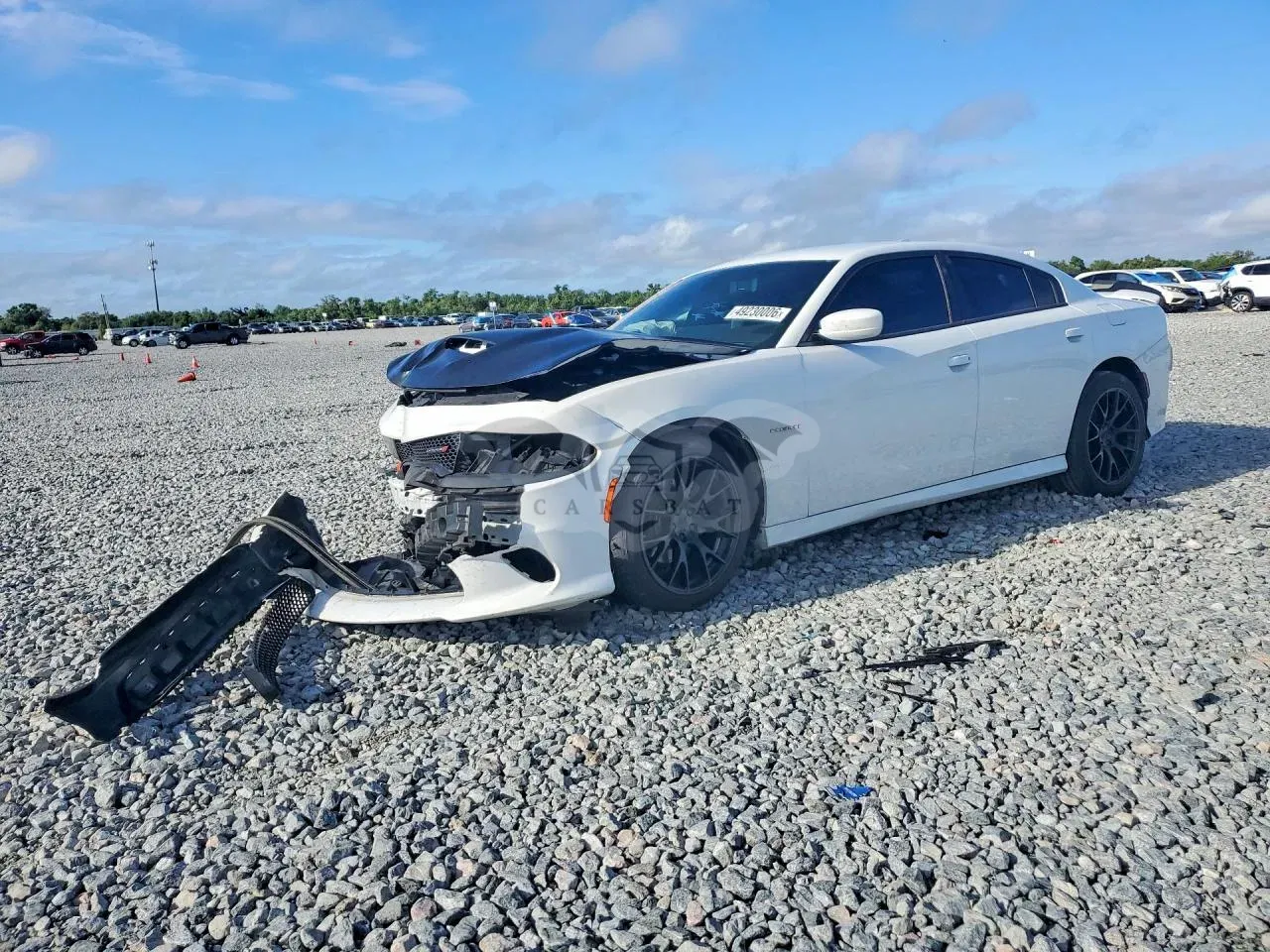 Dodge Charger 5.7L 8 2021