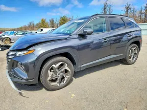 Hyundai Tucson 2.5L 4 2024