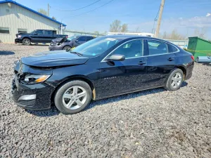 Chevrolet Malibu 1.5L 4 2023