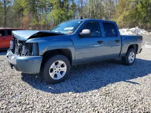 Chevrolet Silverado 1500 4.8L 8 2009