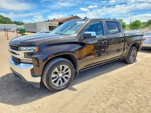 Chevrolet Silverado 1500 5.3L 8 2019