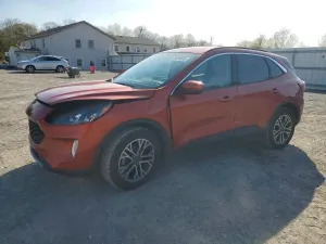 Ford Escape 1.5L 3 2020