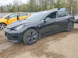 Tesla Model 3 2019
