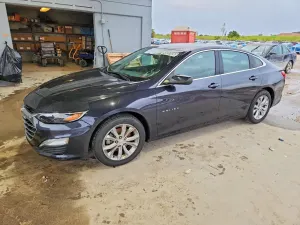 Chevrolet Malibu 1.5L 4 2023