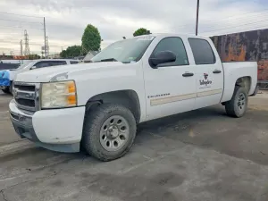 Chevrolet Silverado 1500 4.8L 8 2009