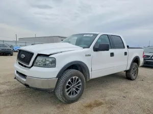 Ford F-150 5.4L 8 2005
