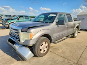 Ford F-150 4.6L 8 2009