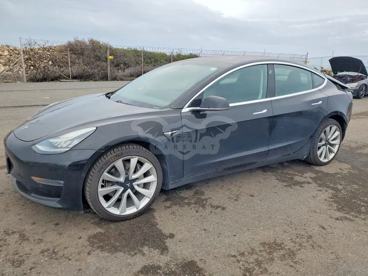Tesla Model 3 2019