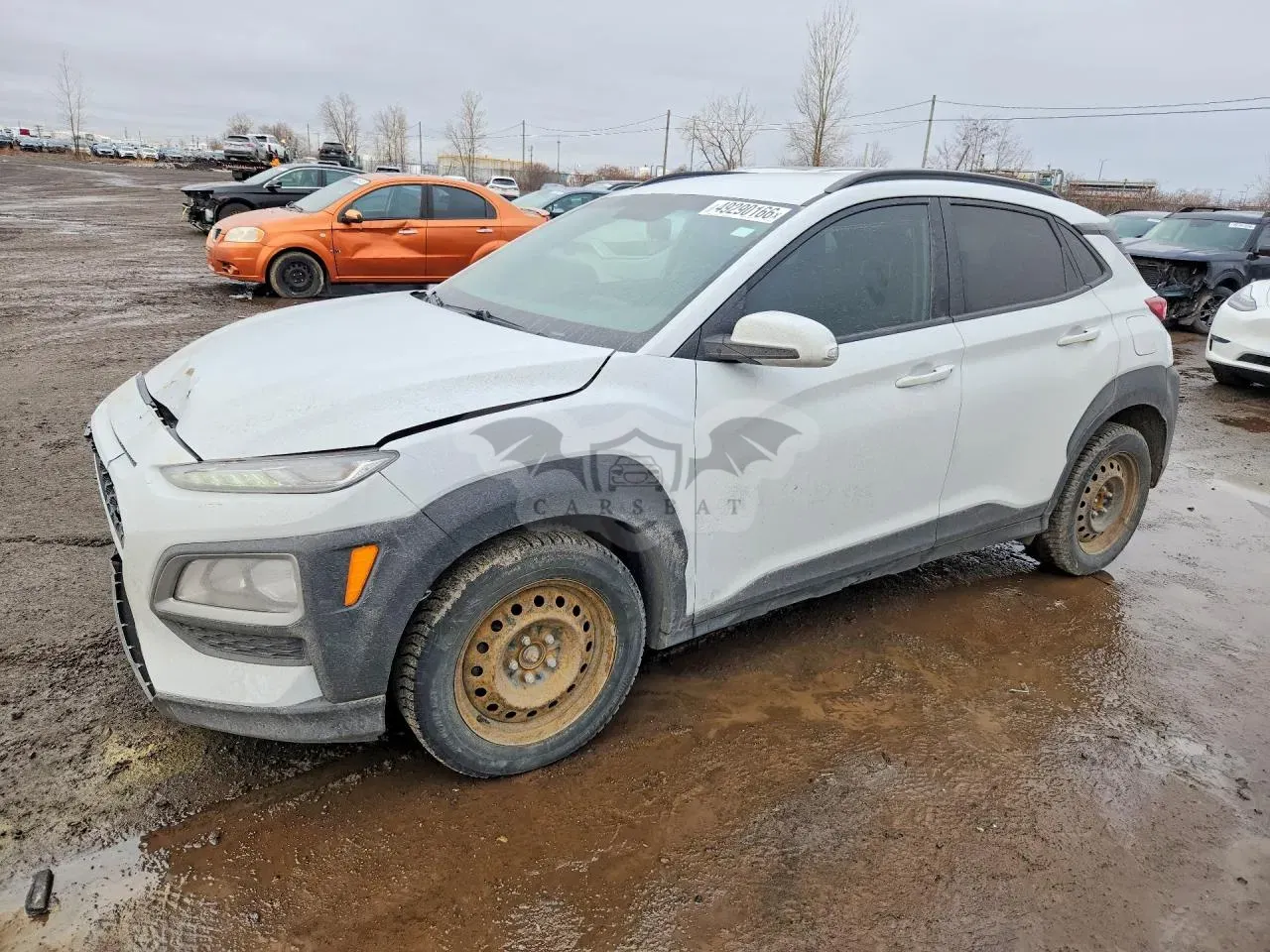 Hyundai Kona 2.0L 4 2019