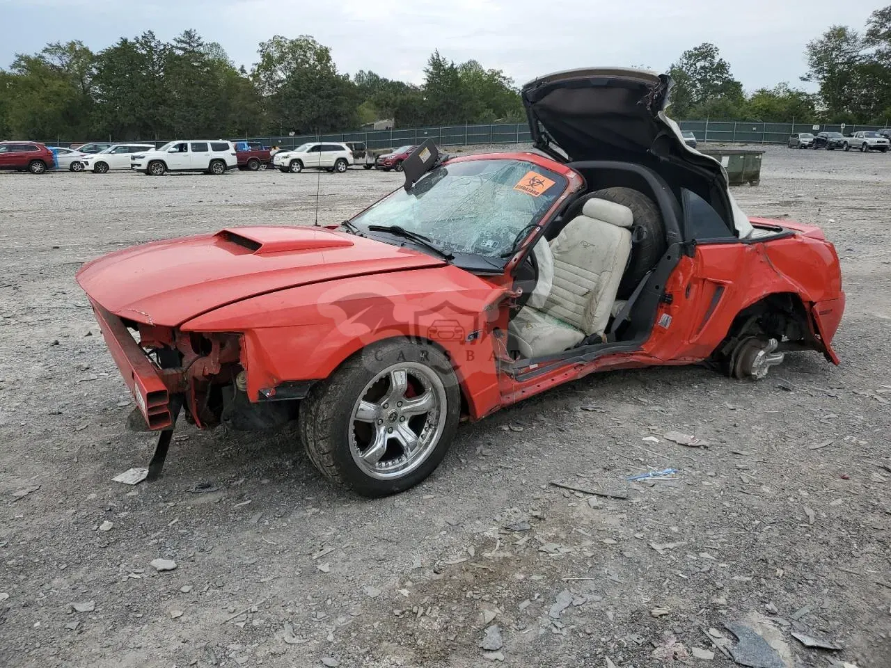 Ford Mustang 4.6L 8 2000
