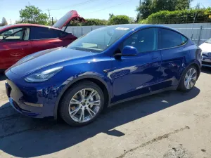 Tesla Model Y 2020