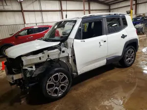 Jeep Renegade 2.4L 4 2015