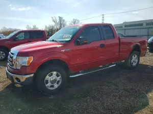Ford F-150 4.6L 8 2009