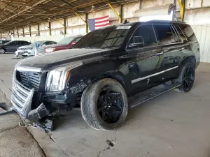 Cadillac Escalade 6.2L 8 2019