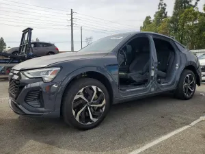 Audi Q8 e-tron 2024