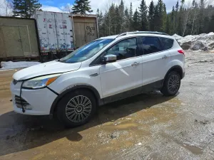 Ford Escape 1.6L 4 2014
