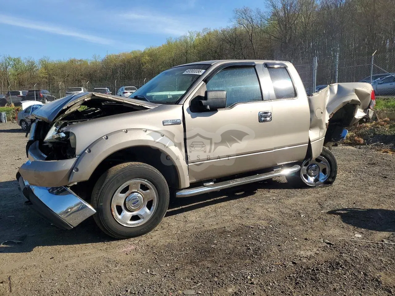 Ford F-150 5.4L 8 2006