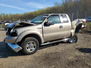 Ford F-150 5.4L 8 2006