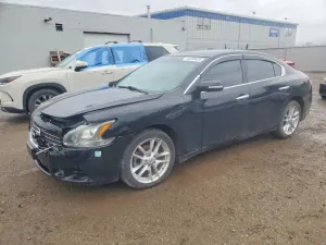 Nissan Maxima 3.5L 6 2011