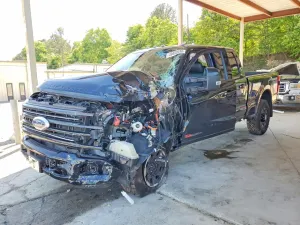 Ford F-250 6.7L 8 2025
