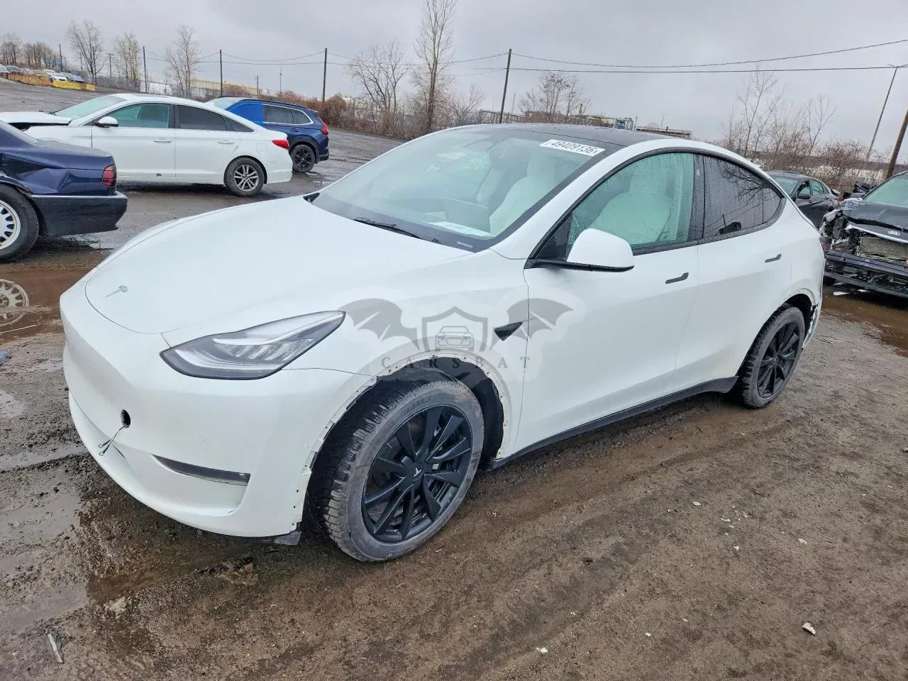 Tesla Model Y 2021