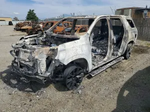 Chevrolet Tahoe 5.3L 8 2024