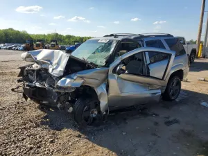 Chevrolet Trailblazer 4.2L 6 2007