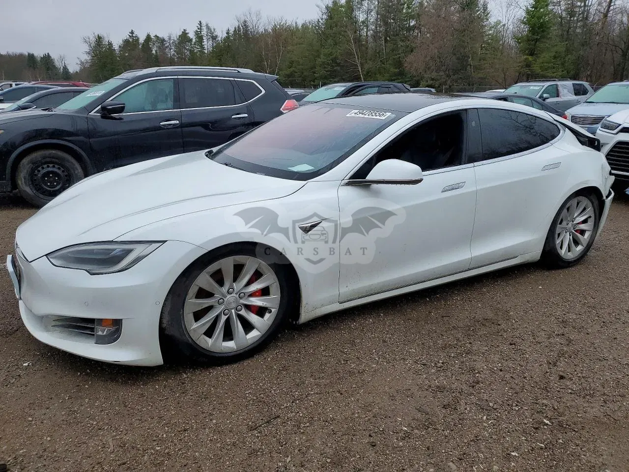 Tesla Model S 2019