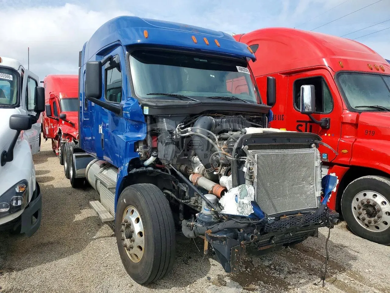Freightliner Cascadia 14.8L 6 2019