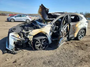 Lexus NX 2.0L 4 2021