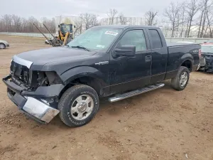 Ford F-150 4.6L 8 2010