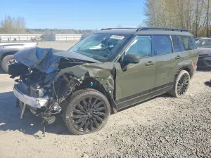 Hyundai Santa Fe 2.5L 4 2024