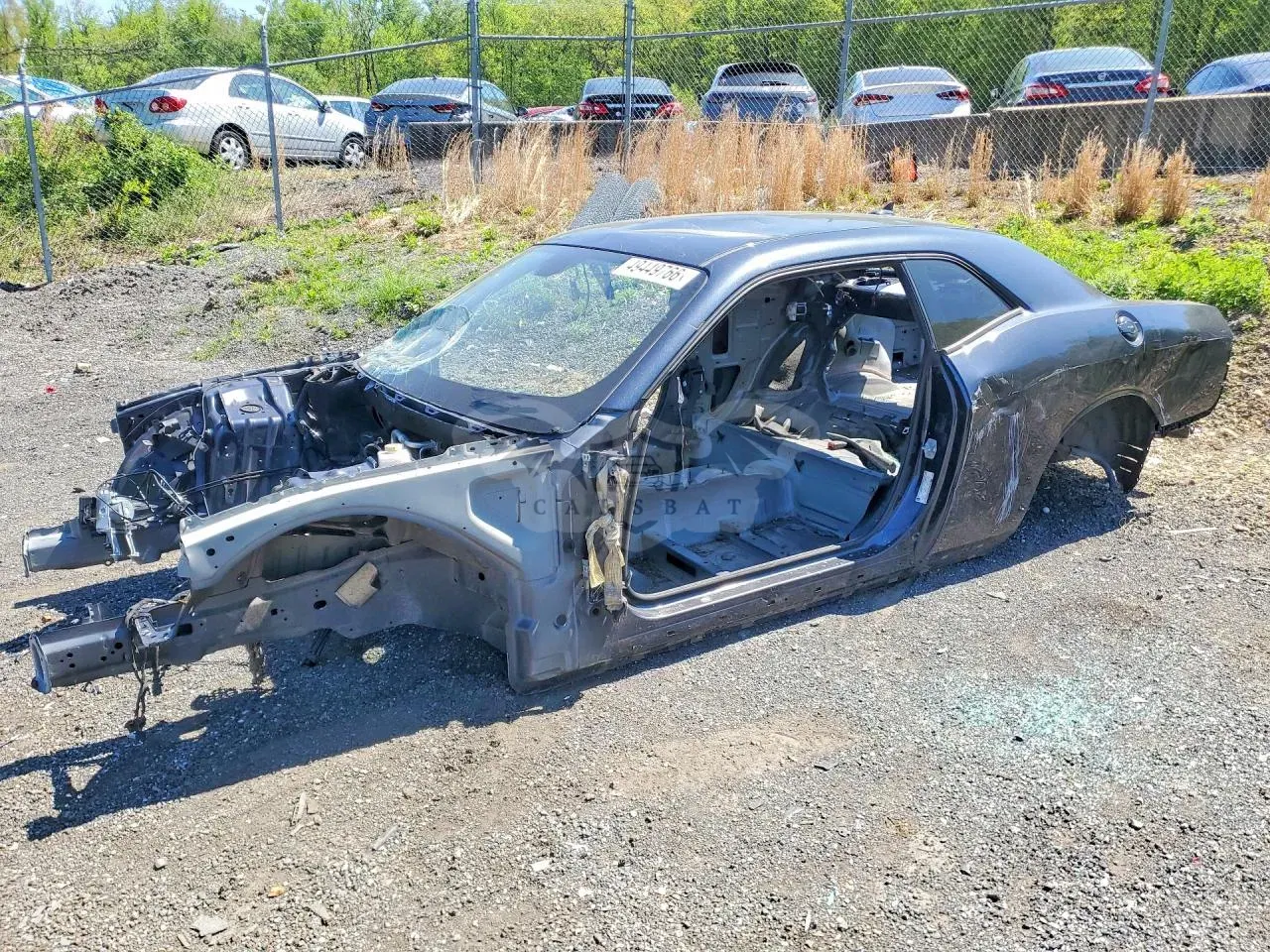 Dodge Challenger 6.4L 8 2019