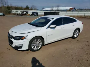 Chevrolet Malibu 1.5L 4 2019
