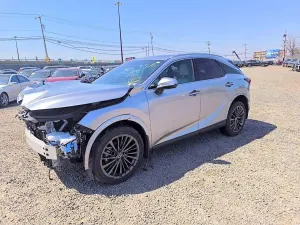 Lexus RX 2.4L 4 2024