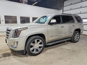 Cadillac Escalade 6.2L 8 2015